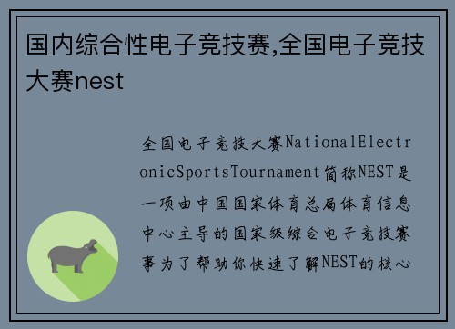 国内综合性电子竞技赛,全国电子竞技大赛nest